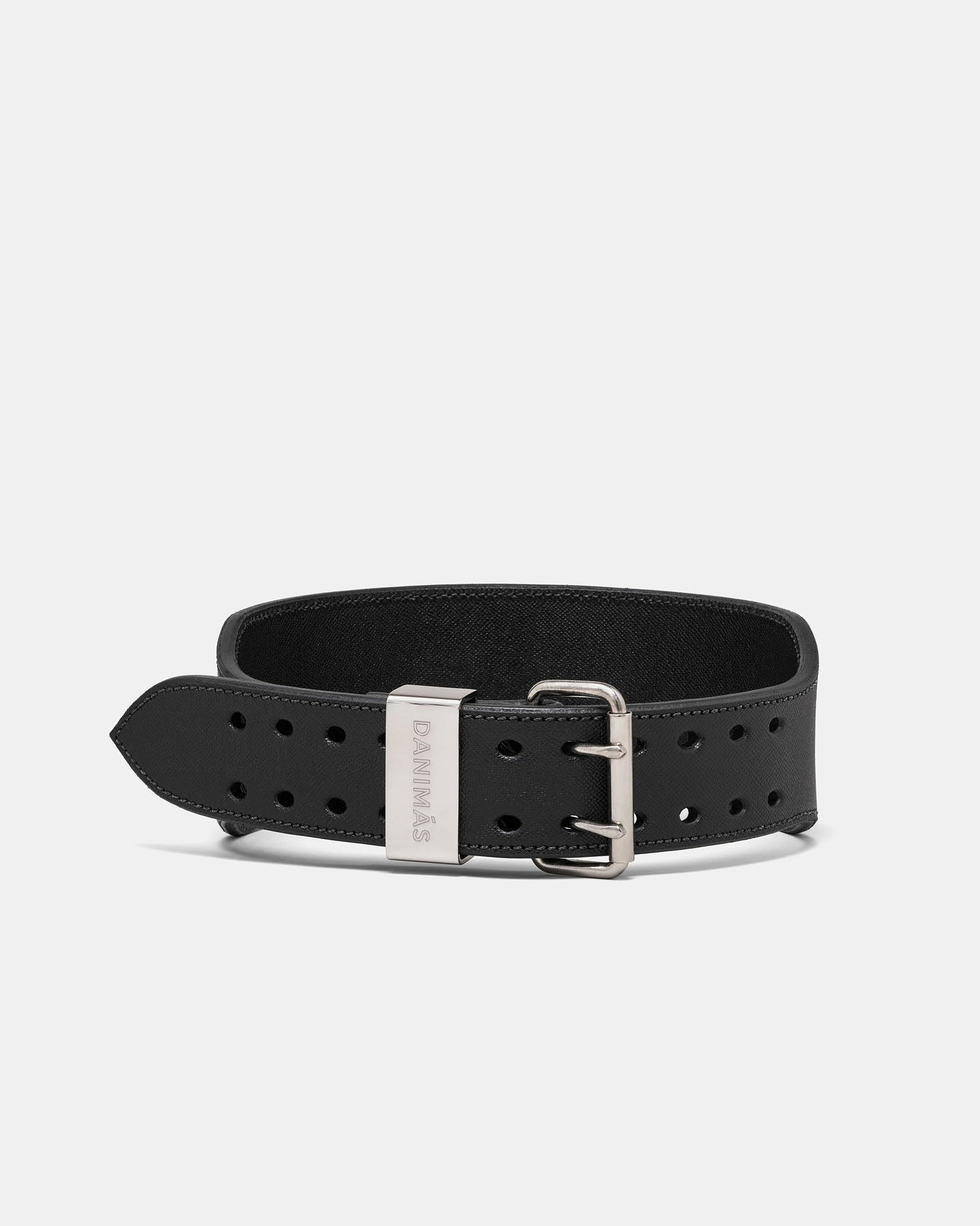 Black leather dog collar with a silver buckle on a light gray background