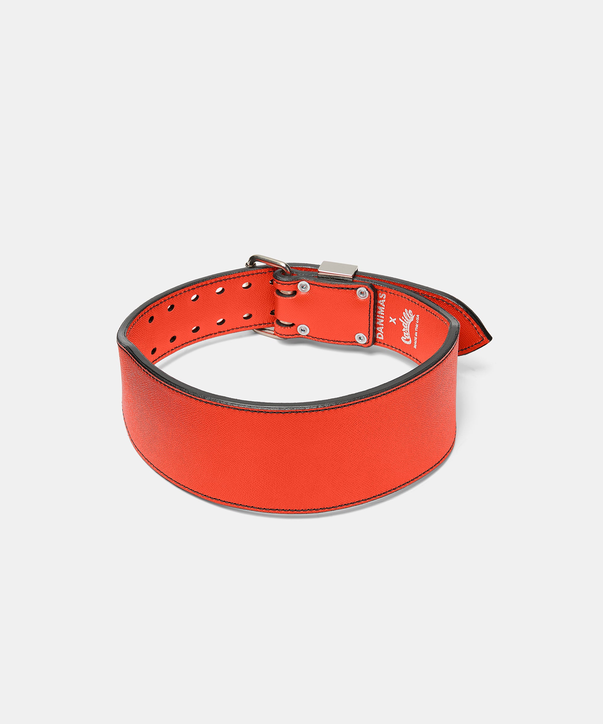 The Classic Weight Belt