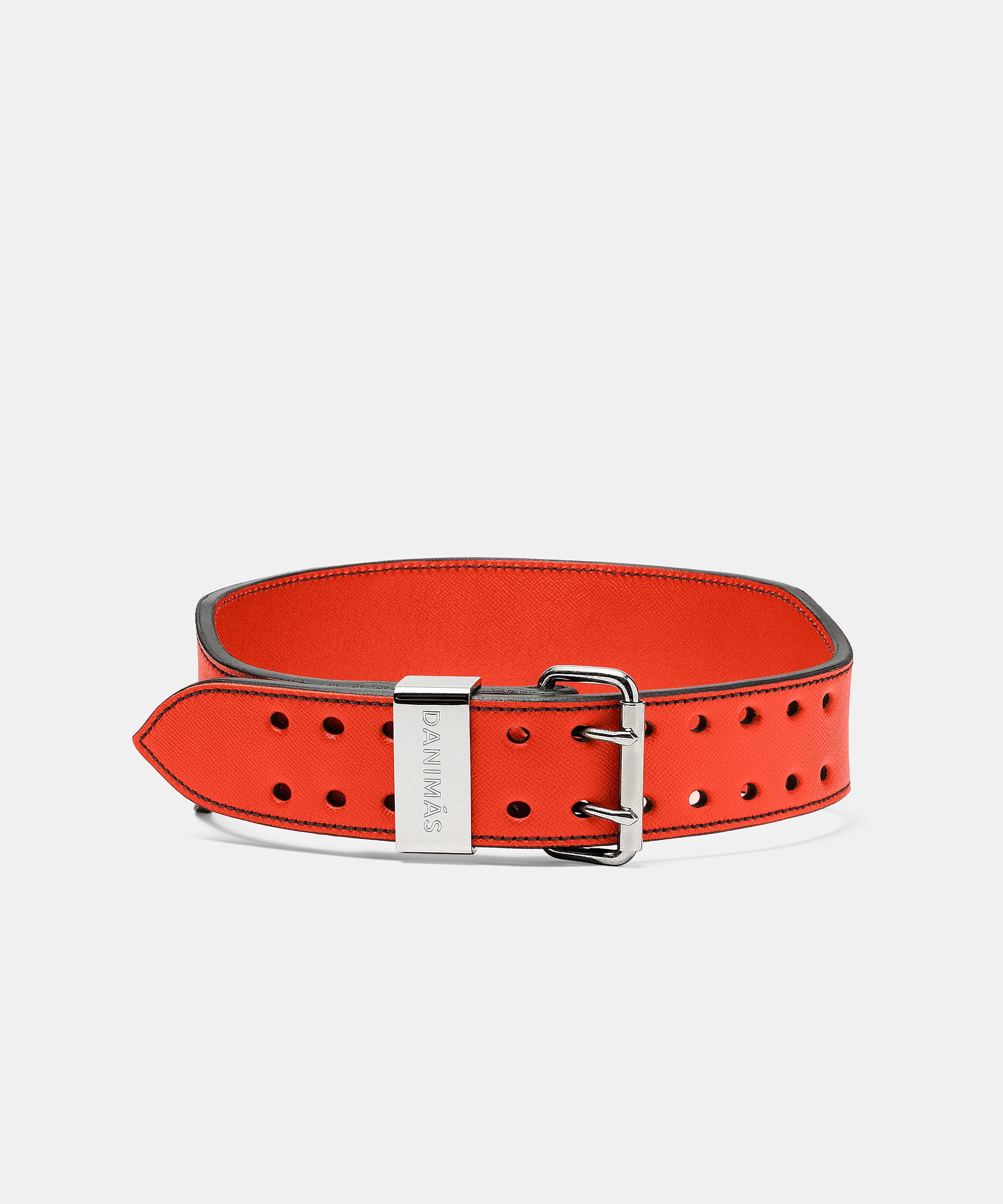 The Classic Weight Belt